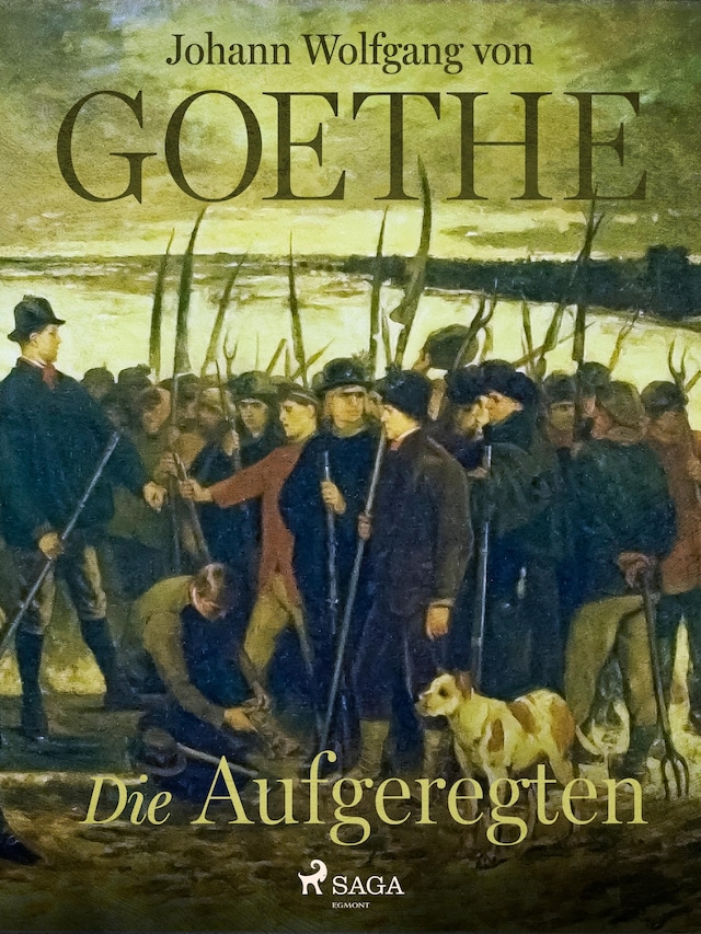 Book cover for Die Aufgeregten