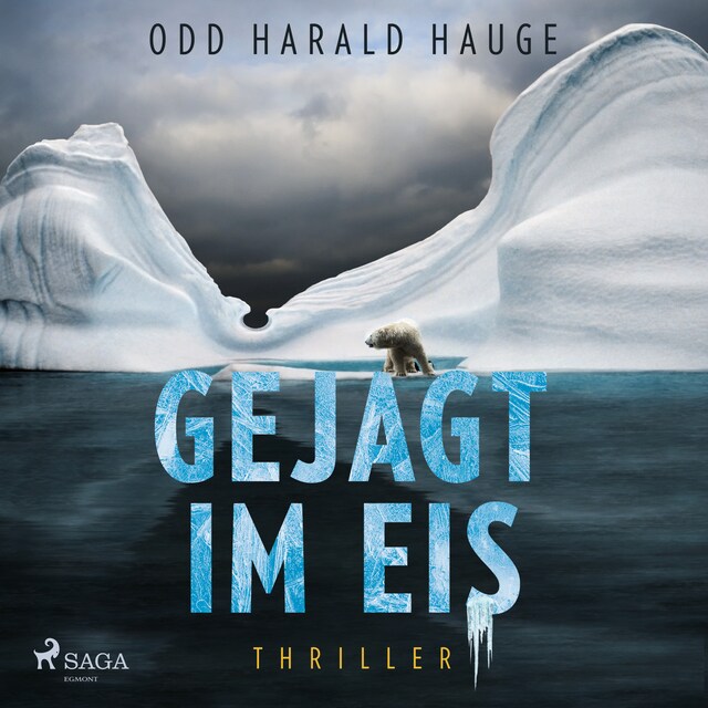 Book cover for Gejagt im Eis - Thriller