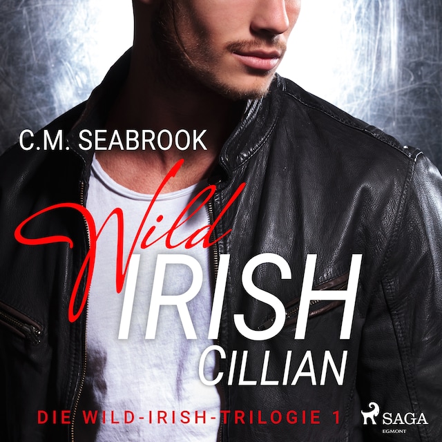 Book cover for Wild Irish - Cillian: Eine Rockstar-Romance (Die Wild-Irish-Trilogie 1)