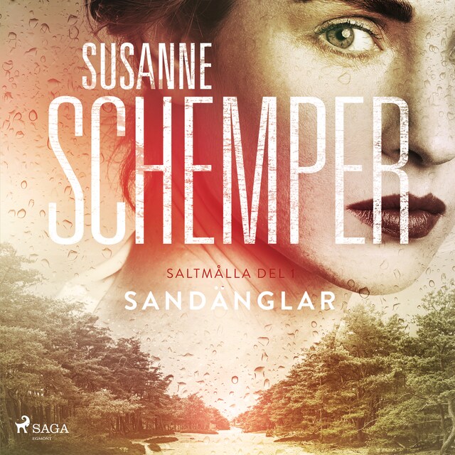 Book cover for Sandänglar