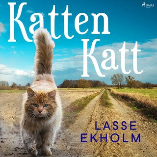 Katten Katt bookCoverFor