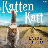 Katten Katt