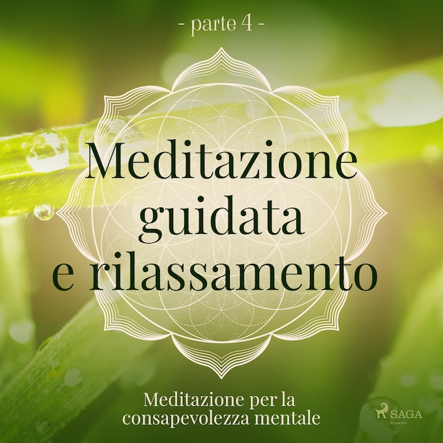 Book cover for Meditazione guidata e rilassamento (parte 4) - Meditazione per la consapevolezza mentale