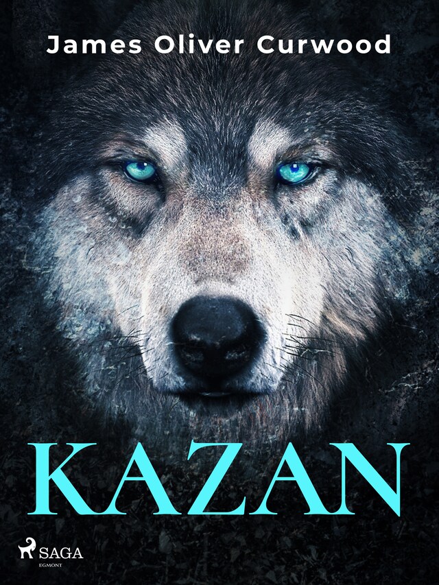 Couverture de livre pour Kazan
