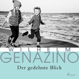 Der gedehnte Blick als Hörbuch
