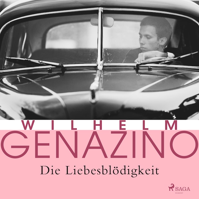 Copertina del libro per Die Liebesblödigkeit