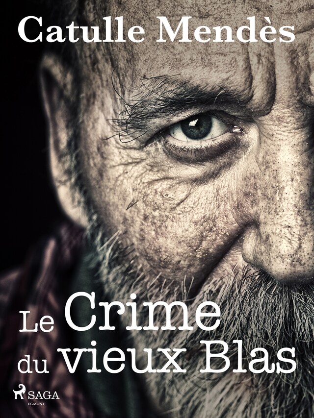 Book cover for Le Crime du vieux Blas