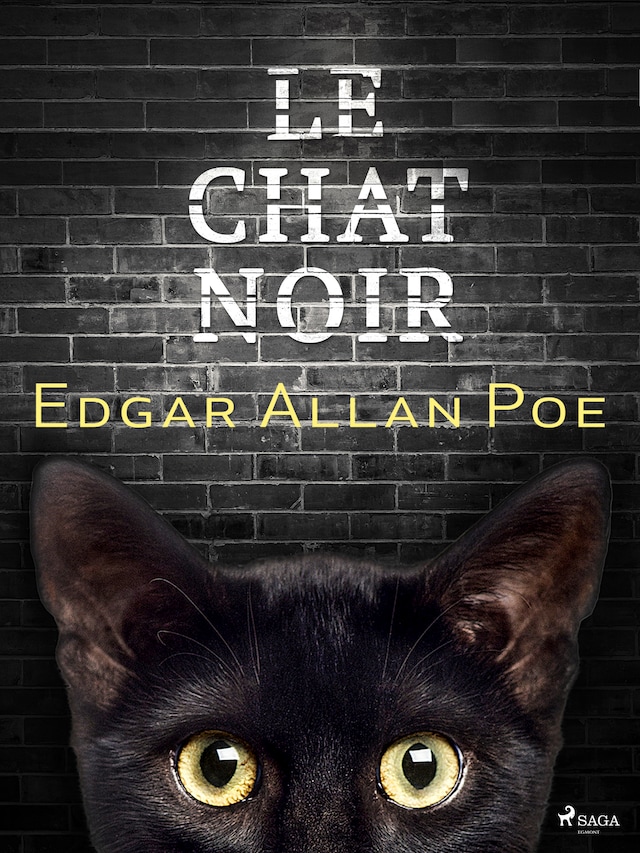 Book cover for Le Chat noir