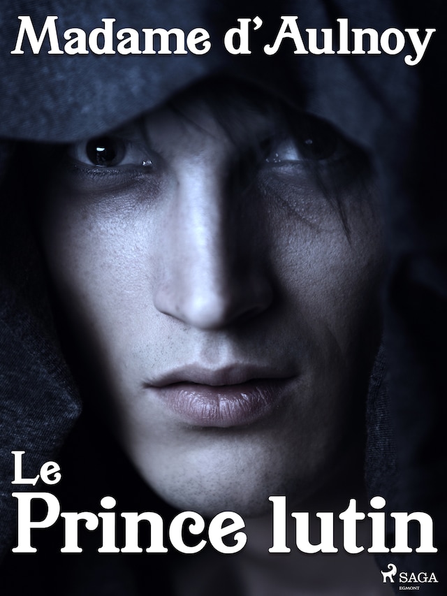 Buchcover für Le Prince lutin