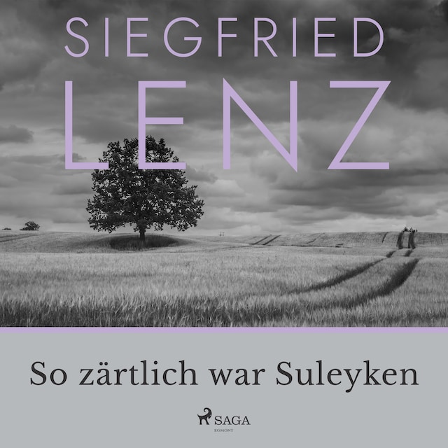 Okładka książki dla So zärtlich war Suleyken