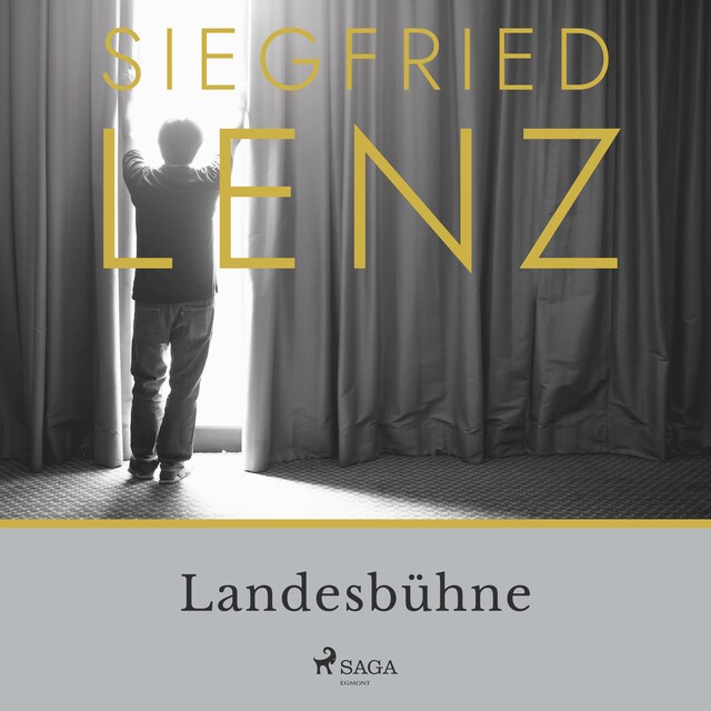 Book cover for Landesbühne