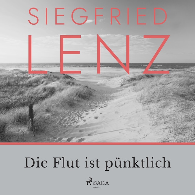 Book cover for Die Flut ist pünktlich