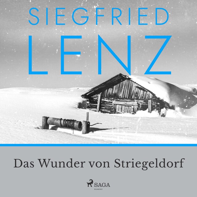 Okładka książki dla Das Wunder von Striegeldorf