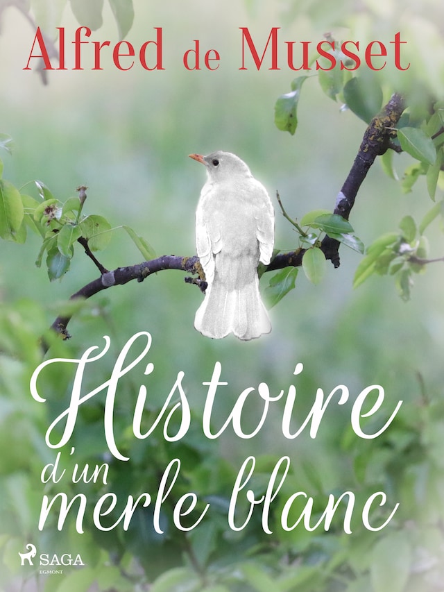 Book cover for Histoire d’un merle blanc