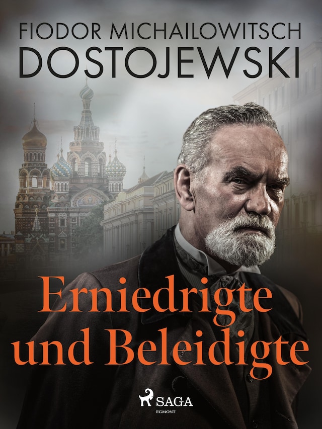 Book cover for Erniedrigte und Beleidigte