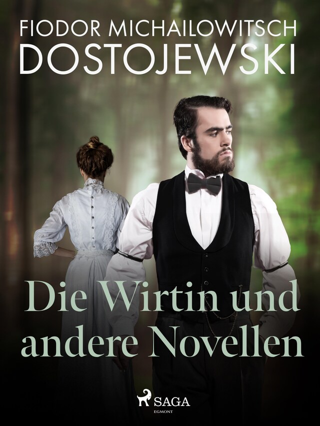 Kirjankansi teokselle Die Wirtin und andere Novellen