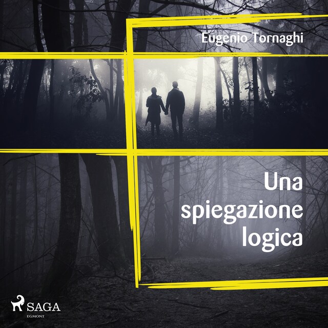 Book cover for Una spiegazione logica