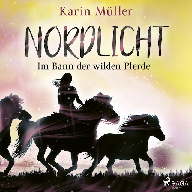 Book cover for Nordlicht, Band 02: Im Bann der wilden Pferde