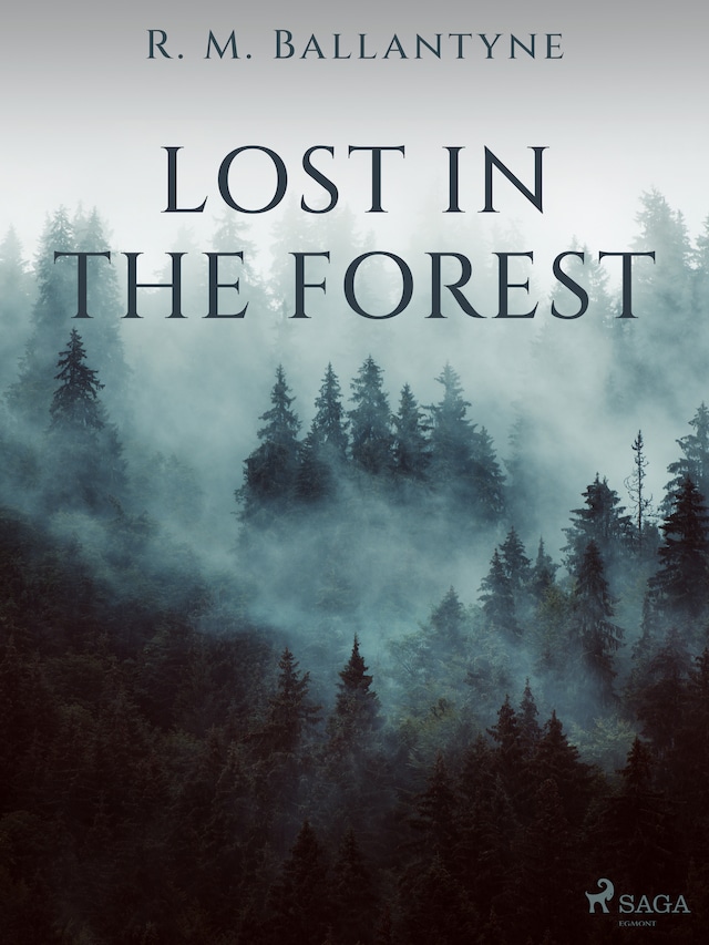 Copertina del libro per Lost in the Forest
