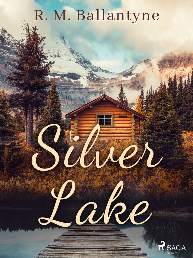 Copertina del libro per Silver Lake