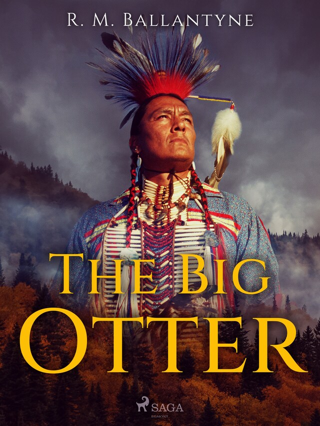 Book cover for The Big Otter