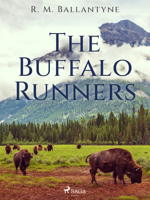 Boekomslag van The Buffalo Runners