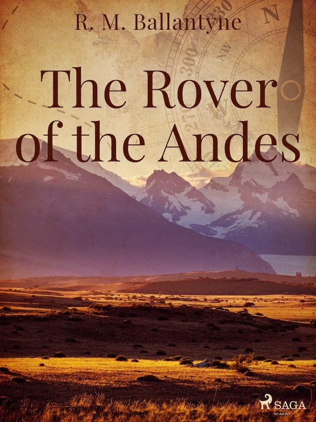 Boekomslag van The Rover of the Andes