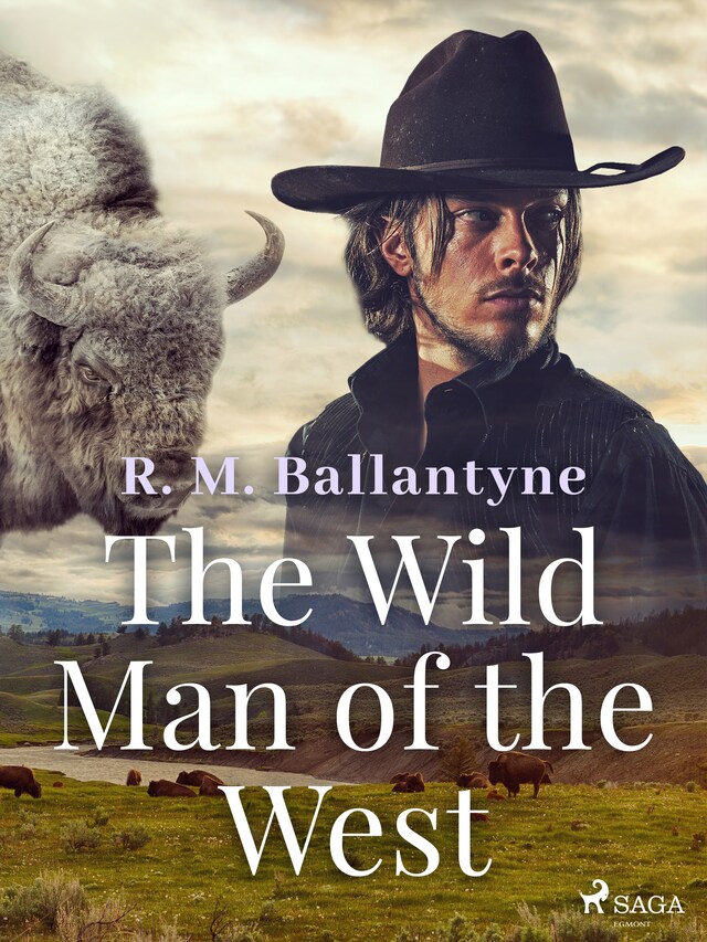 Book cover for The Wild Man of the West