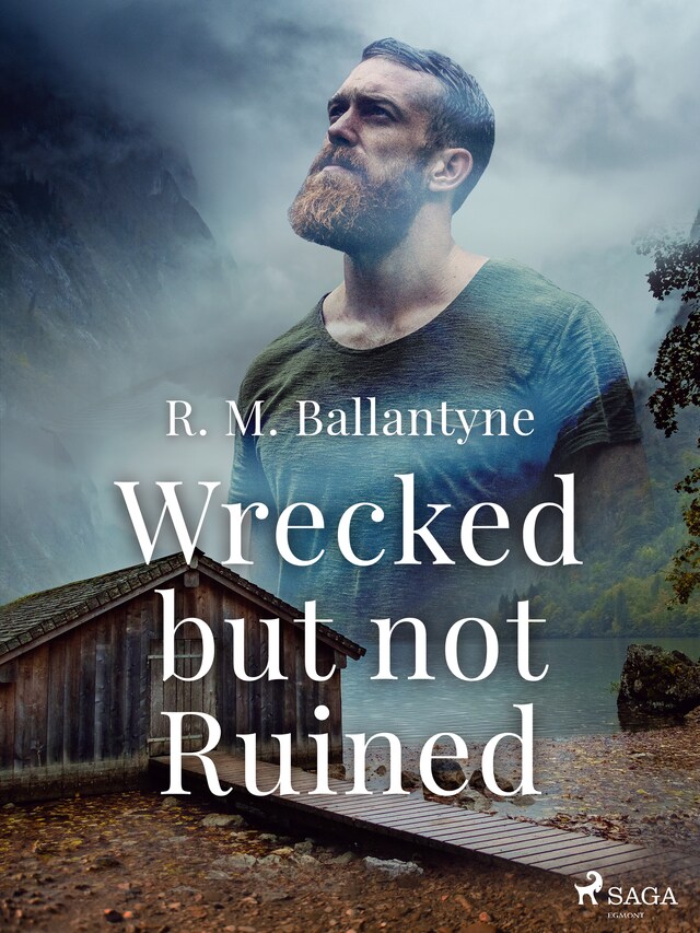 Book cover for Wrecked but not Ruined