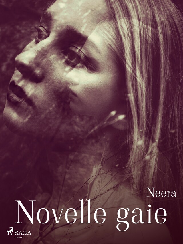 Copertina del libro per Novelle gaie