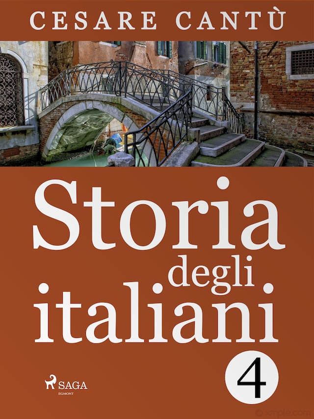 Book cover for Storia degli italiani 4