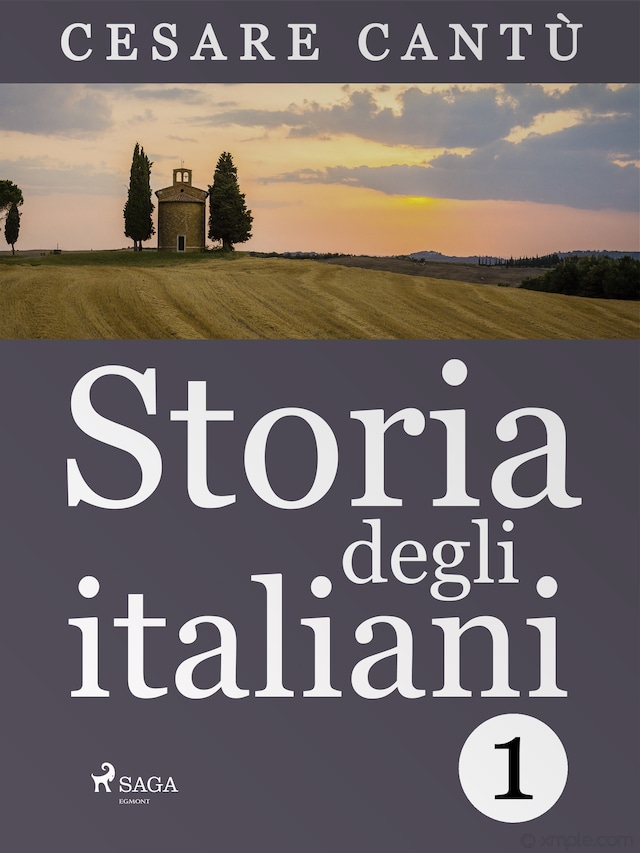 Book cover for Storia degli italiani