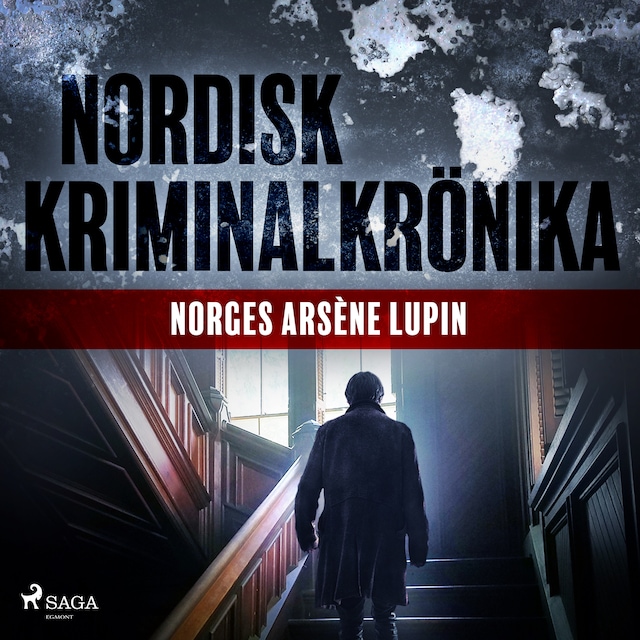 Book cover for Norges Arsène Lupin