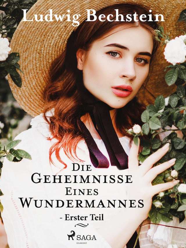 Book cover for Die Geheimnisse eines Wundermannes - Erster Teil