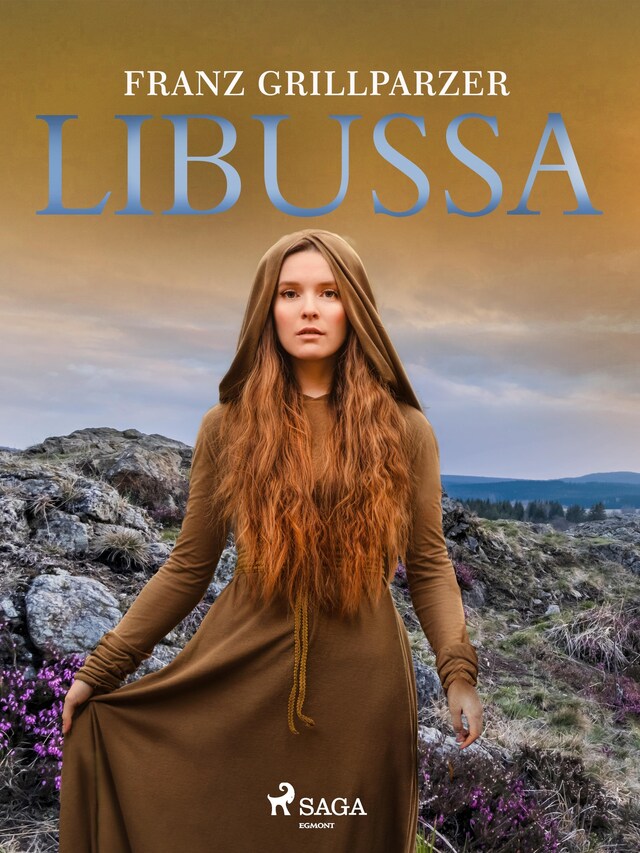 Book cover for Libussa