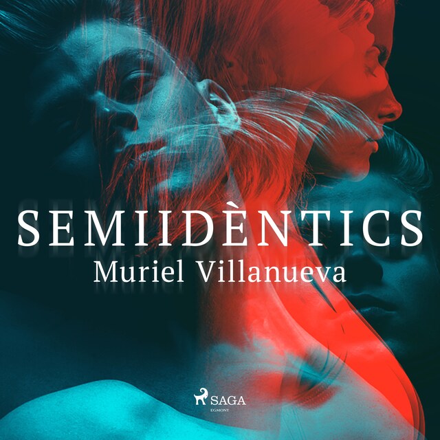 Book cover for Semiidèntics