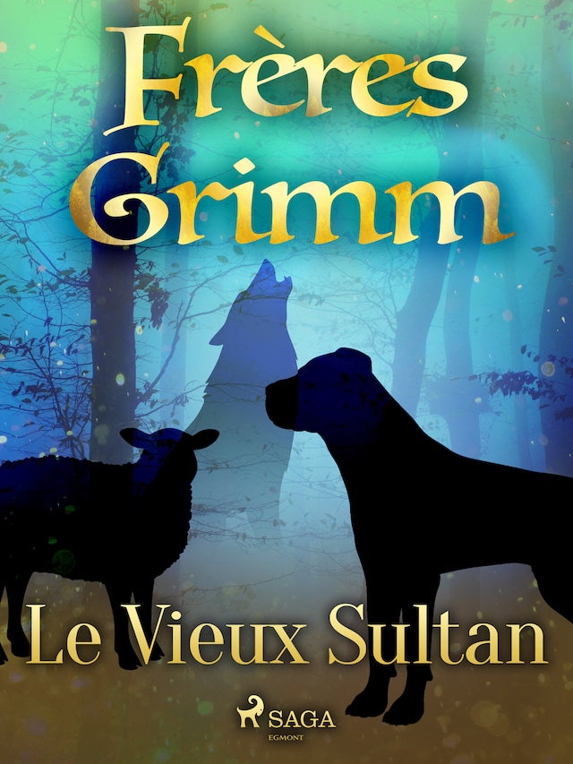 Book cover for Le Vieux Sultan