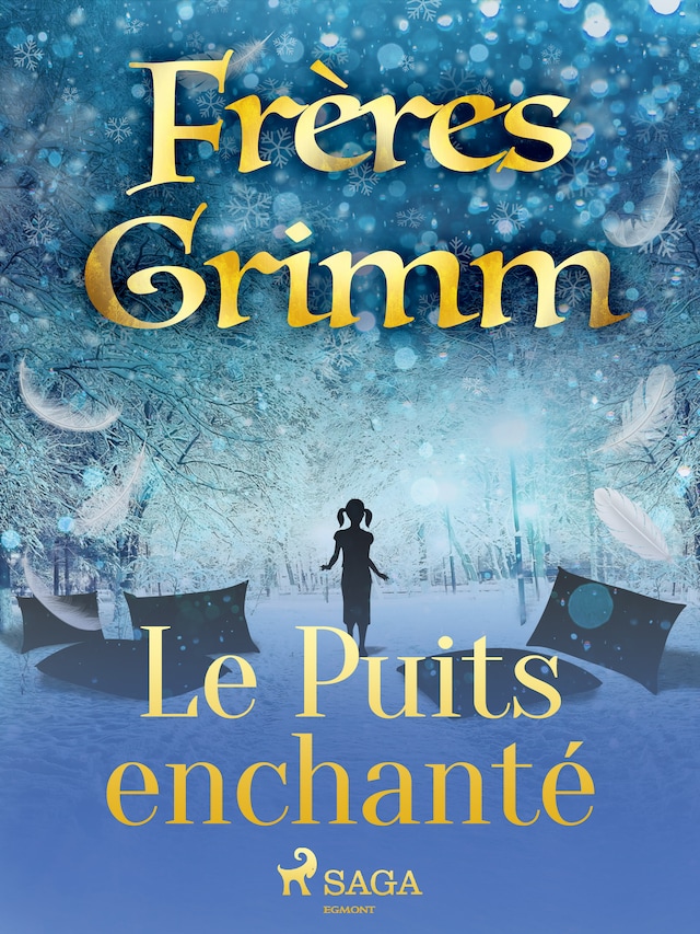 Buchcover für Le Puits enchanté