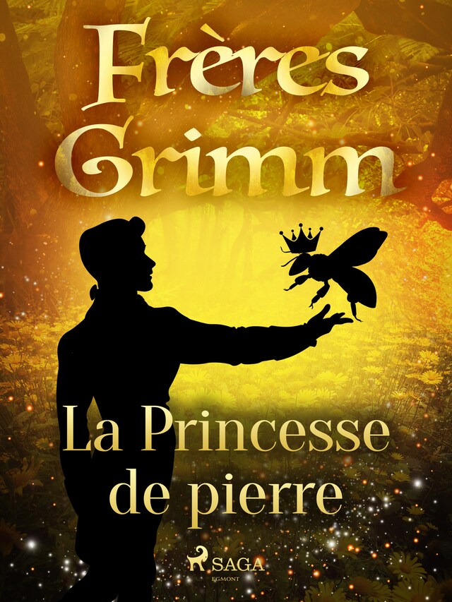 Couverture de livre pour La Princesse de pierre