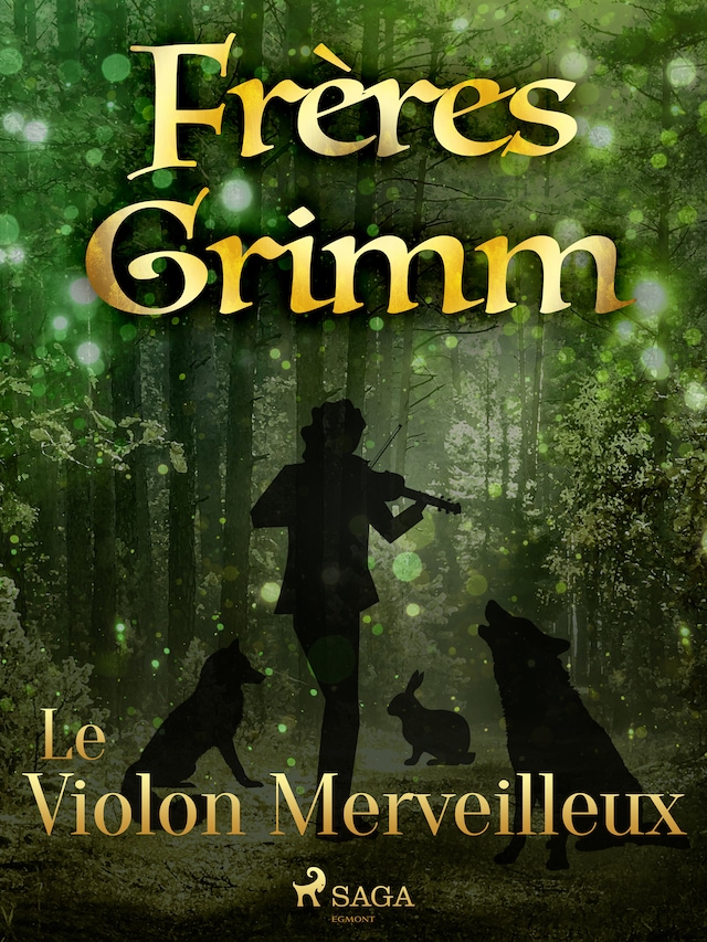 Book cover for Le Violon Merveilleux