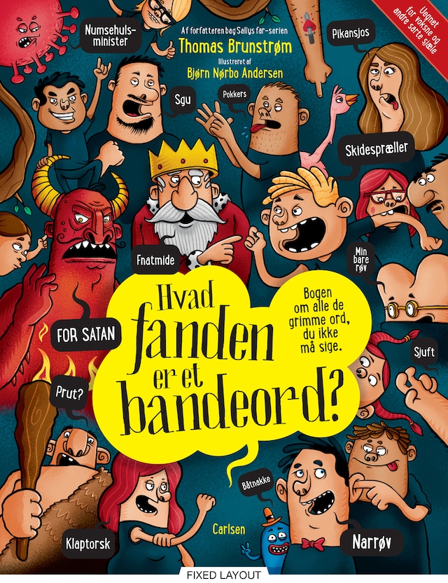 Bogomslag for Hvad fanden er et bandeord?