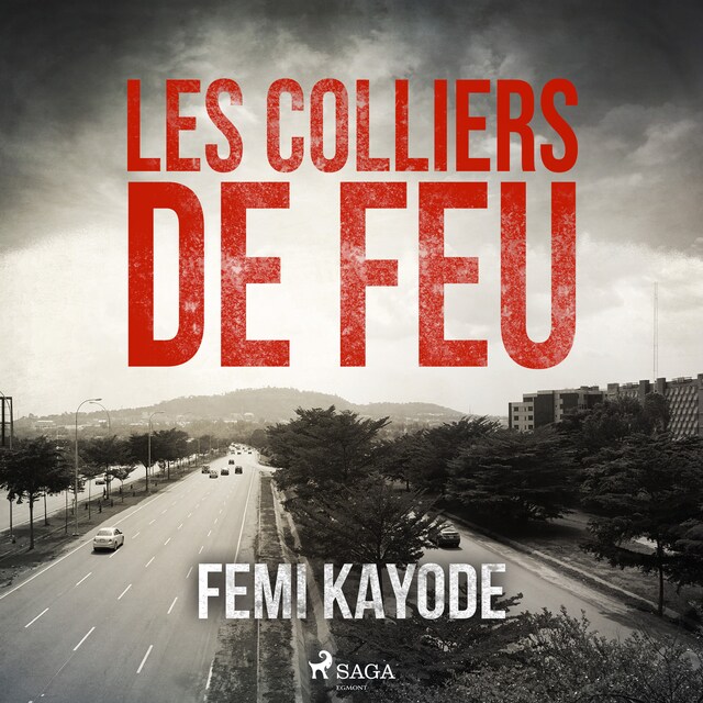 Book cover for Les Colliers de feu