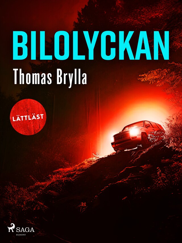 Book cover for Bilolyckan