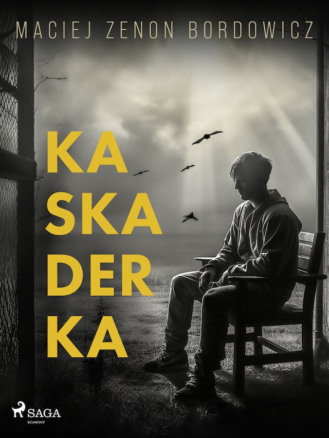 Copertina del libro per Kaskaderka