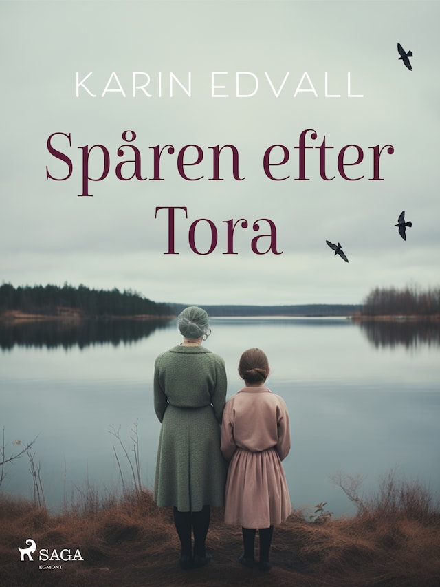 Book cover for Spåren efter Tora