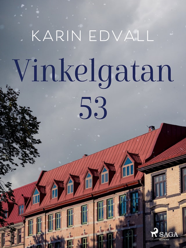 Bogomslag for Vinkelgatan 53