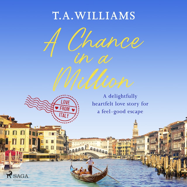 Book cover for A Chance in a Million