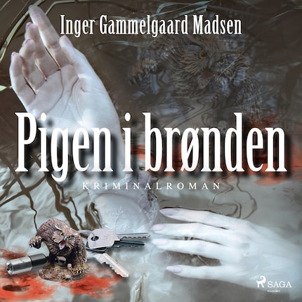 Pigen i brønden bookCoverFor
