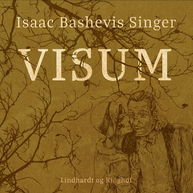 Book cover for Visum