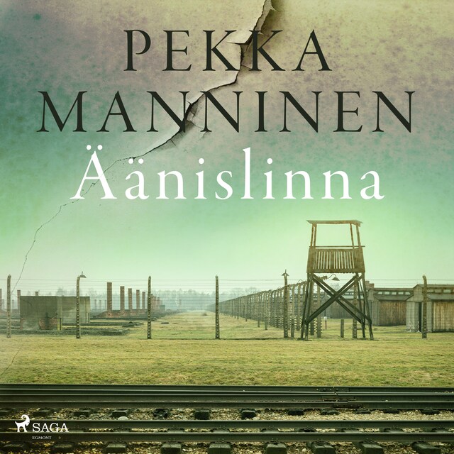 Book cover for Äänislinna